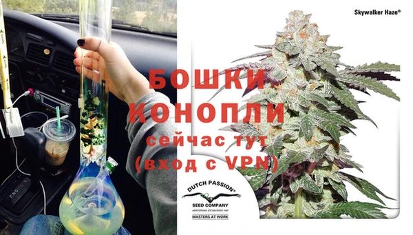 винт Гусиноозёрск