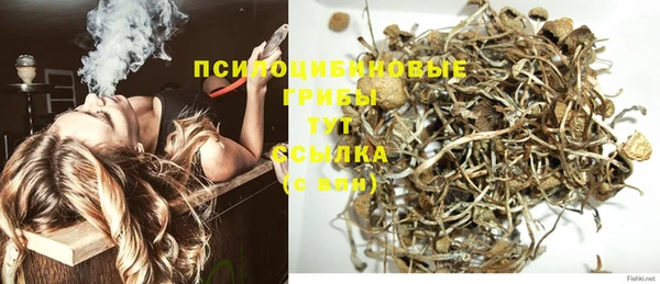 ПСИЛОЦИБИНОВЫЕ ГРИБЫ Строитель