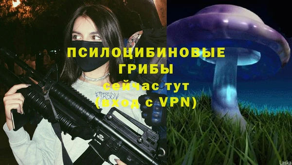 a pvp Горно-Алтайск