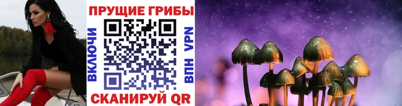 Псилоцибиновые грибы мицелий  Лысьва 